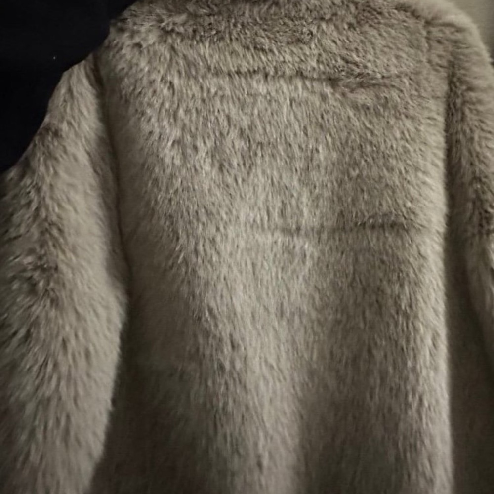 Zara Plush Faux Fur Jacket in Light Gray - Picture 3 of 3